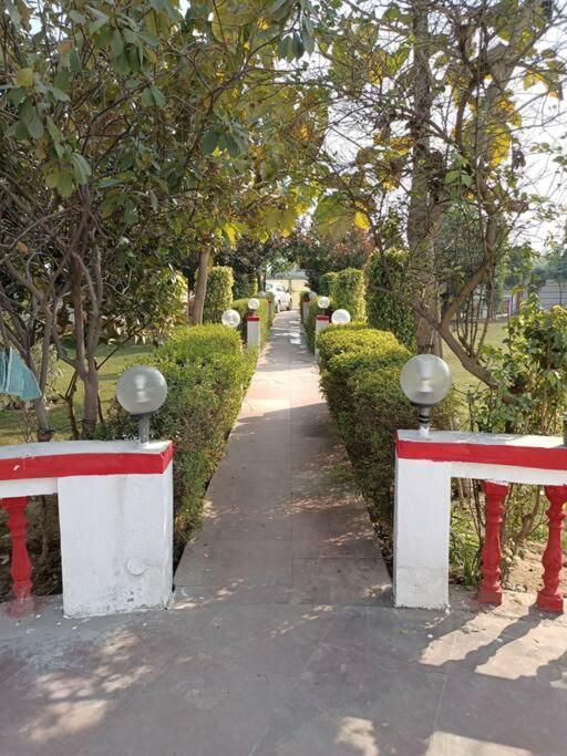 Achal Farm जंगल में मंगल Villa Gurgaon Buitenkant foto