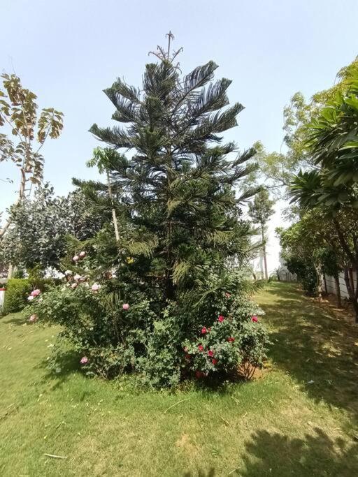 Achal Farm जंगल में मंगल Villa Gurgaon Buitenkant foto